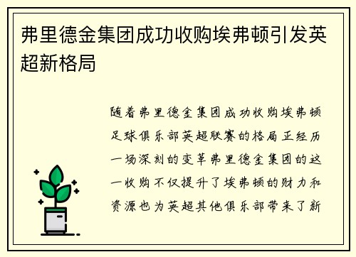弗里德金集团成功收购埃弗顿引发英超新格局 弗里德金集团成功收购埃弗顿引发英超新格局